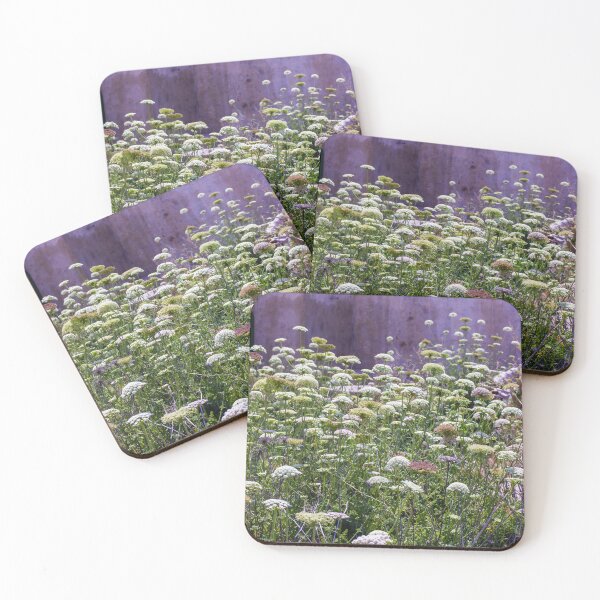 Item preview, Wild Queen Anne's Lace Meadow in Front of Weathered Building With Sunlit Summer Flowers designed and sold by Nmallia.