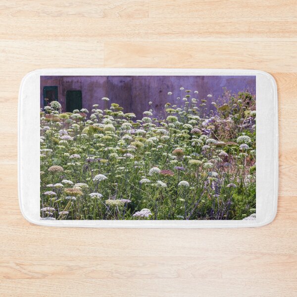 Item preview, Wild Queen Anne's Lace Meadow in Front of Weathered Building With Sunlit Summer Flowers designed and sold by Nmallia.