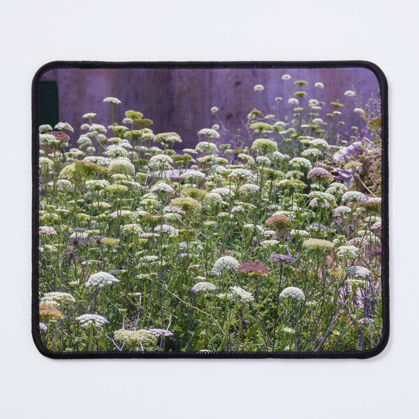 Item preview, Wild Queen Anne's Lace Meadow in Front of Weathered Building With Sunlit Summer Flowers designed and sold by Nmallia.