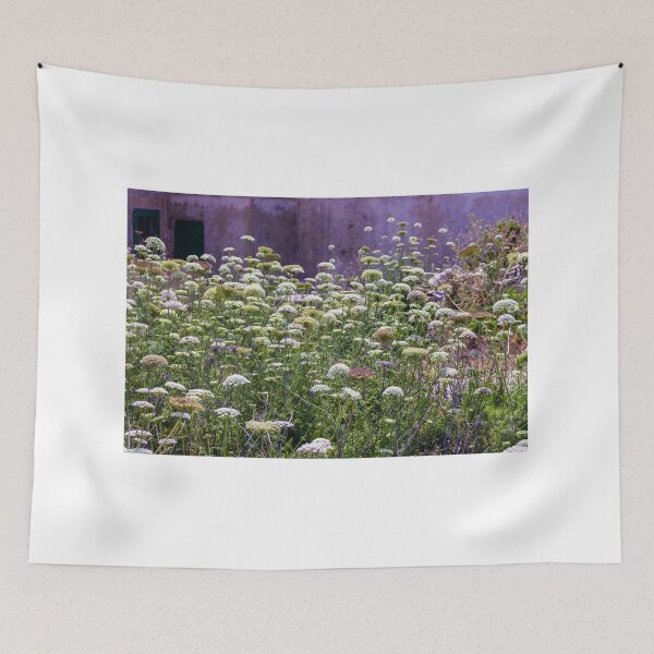 Item preview, Wild Queen Anne's Lace Meadow in Front of Weathered Building With Sunlit Summer Flowers designed and sold by Nmallia.