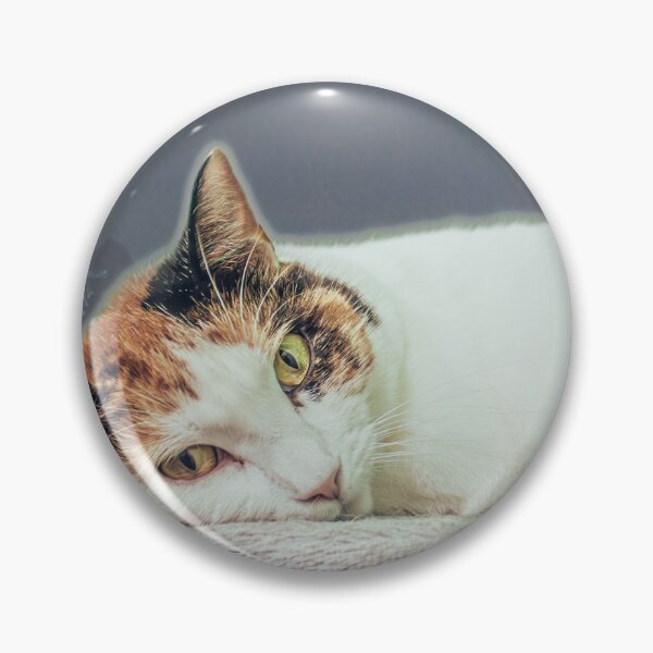 Item preview, Cleo In Front Of Window designed and sold by Quinn Wright.