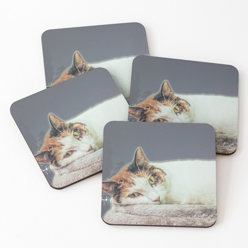 Item preview, Coasters (Set of 4) designed and sold by WrightOnTarget.