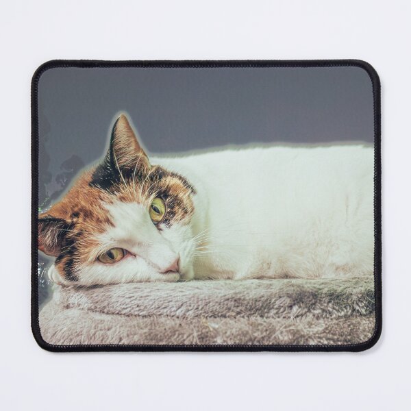 Item preview, Cleo In Front Of Window designed and sold by Quinn Wright.