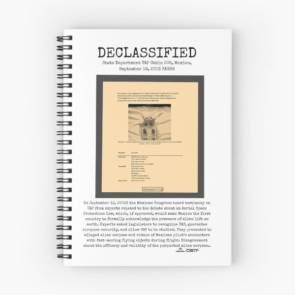 Item preview, UFO DECLASSIFIED State Department UAP Cable 005, Mexico, September 16, 2003 PAGE6 designed and sold by CG17s.