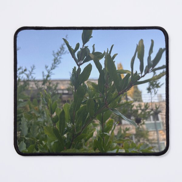Item preview, Obscured, Ob-scared designed and sold by 55synonyms.
