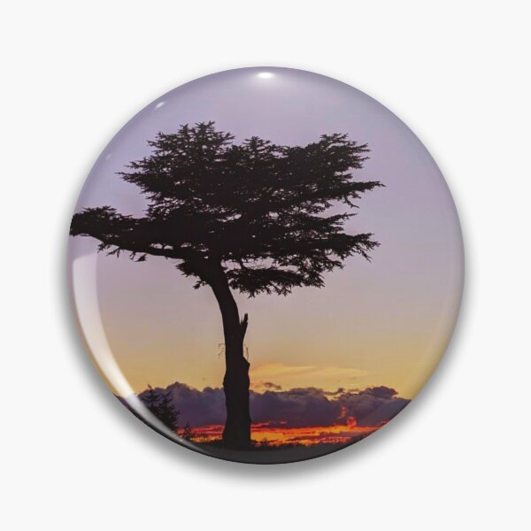 Item preview, Ancient Cedar Tree in Hertfordshire  designed and sold by Wonder & Whimsy.