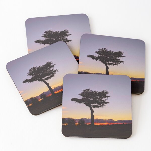 Item preview, Ancient Cedar Tree in Hertfordshire  designed and sold by Wonder & Whimsy.