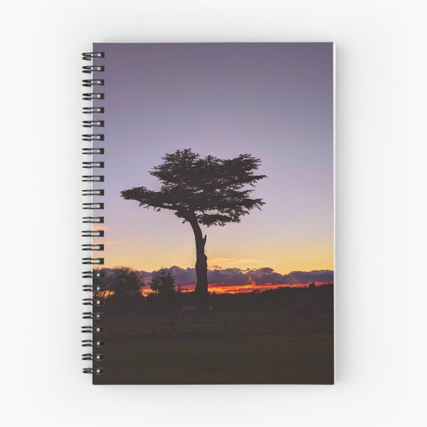 Item preview, Ancient Cedar Tree in Hertfordshire  designed and sold by Wonder & Whimsy.