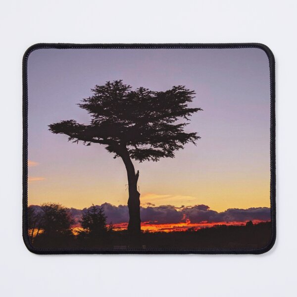 Item preview, Ancient Cedar Tree in Hertfordshire  designed and sold by Wonder & Whimsy.
