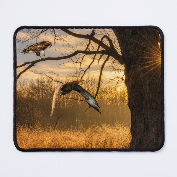 Item preview, Oak and Hawks designed and sold by Kimberly Palmer.