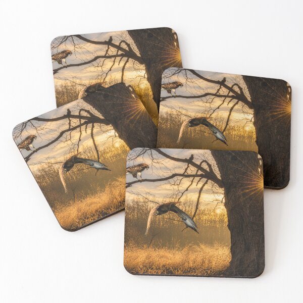 Item preview, Oak and Hawks designed and sold by Kimberly Palmer.