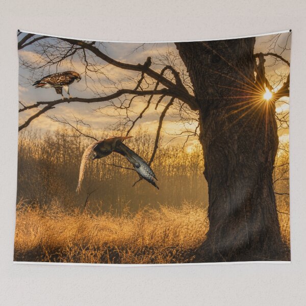 Item preview, Oak and Hawks designed and sold by Kimberly Palmer.