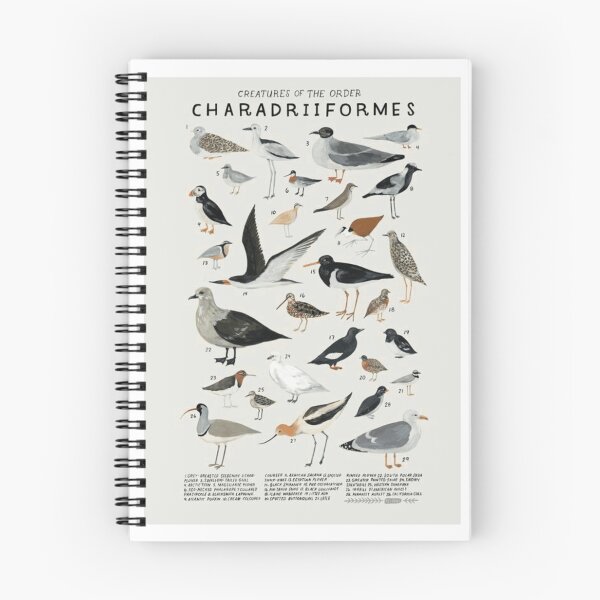 Item preview, Creatures of the Order Charadriiformes – Illustrated Shorebird Species Chart ?? designed and sold by WATEKE.