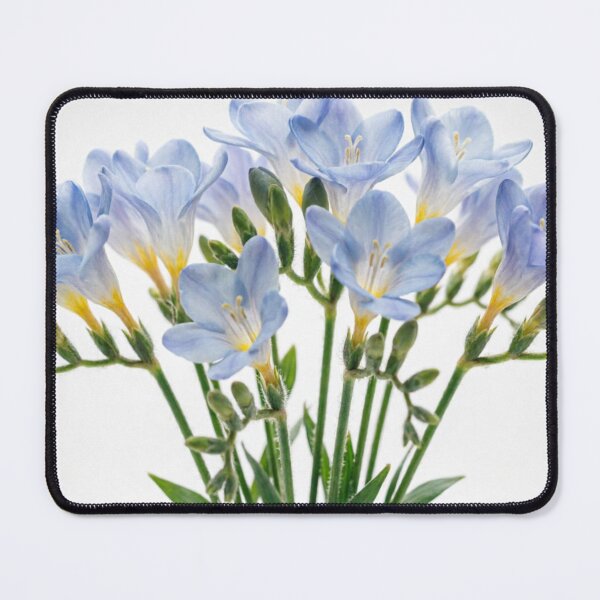 Item preview, Soft Baby Blue Freesia Bouquet designed and sold by IntelliMindDesigns.