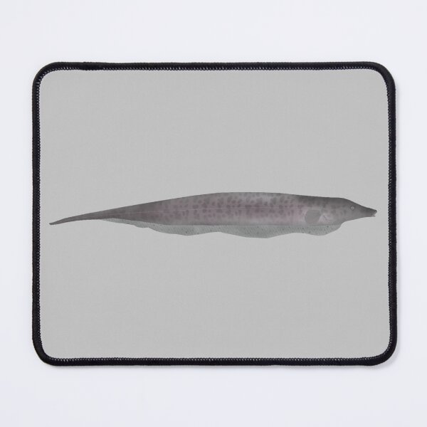 Item preview, Trompet Knifefish designed and sold by fishfolkart.