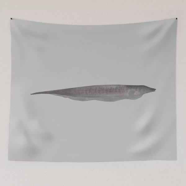 Item preview, Trompet Knifefish designed and sold by fishfolkart.
