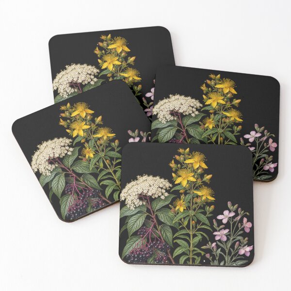Item preview, Elderberry, St. John’s Wort and Night-Scented Stock Vintage Botanical Plate designed and sold by Anyshca.