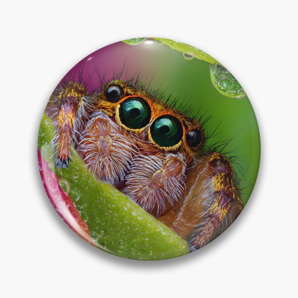Item preview, Close-Up Spider with Dew on Vibrant Leaves designed and sold by Artessie.