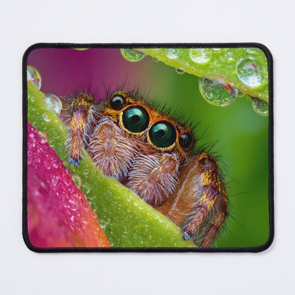 Item preview, Close-Up Spider with Dew on Vibrant Leaves designed and sold by Artessie.