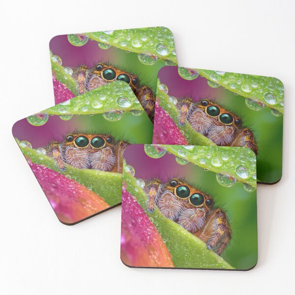 Item preview, Close-Up Spider with Dew on Vibrant Leaves designed and sold by Artessie.