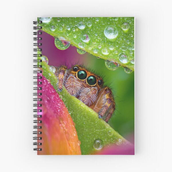 Item preview, Close-Up Spider with Dew on Vibrant Leaves designed and sold by Artessie.