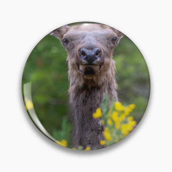 Item preview, Disguised designed and sold by DawsonImages.