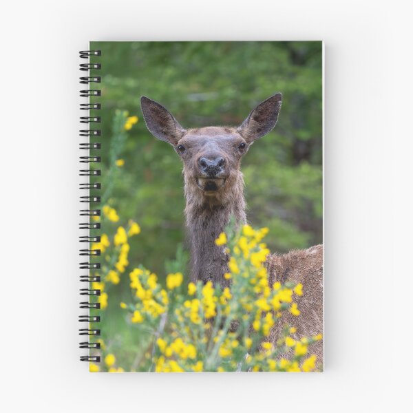 Item preview, Disguised designed and sold by DawsonImages.