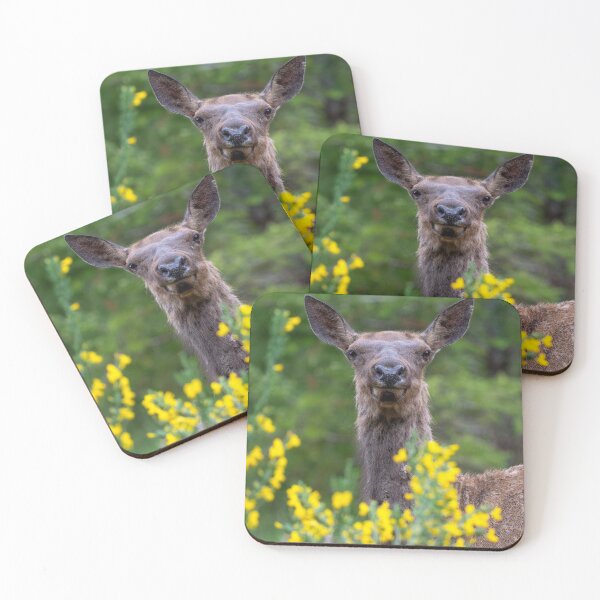 Item preview, Disguised designed and sold by DawsonImages.