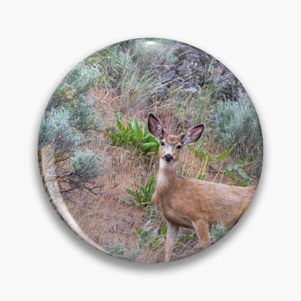 Item preview, Inquisitive designed and sold by DawsonImages.