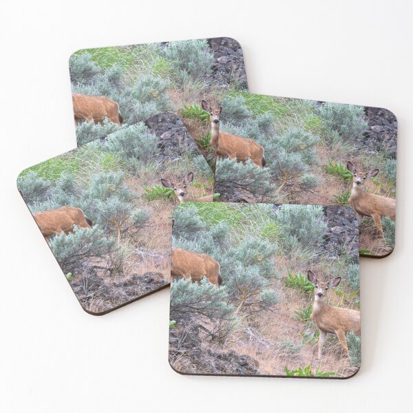 Item preview, Inquisitive designed and sold by DawsonImages.