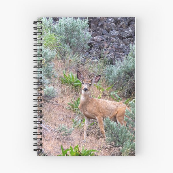 Item preview, Inquisitive designed and sold by DawsonImages.