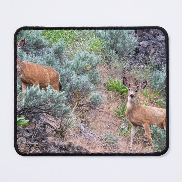 Item preview, Inquisitive designed and sold by DawsonImages.
