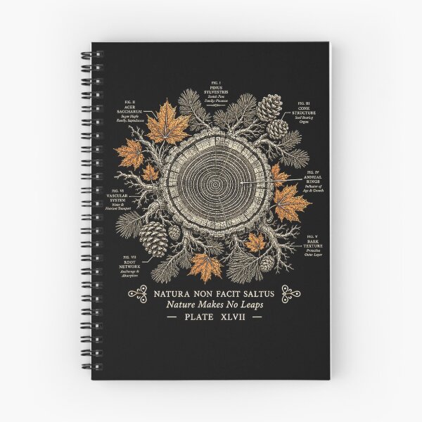 Item preview, Vintage Tree Ring Diagram Nature Makes No Leaps designed and sold by NoeValdric.