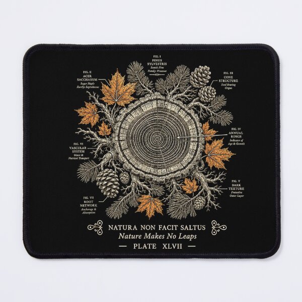 Item preview, Vintage Tree Ring Diagram Nature Makes No Leaps designed and sold by NoeValdric.