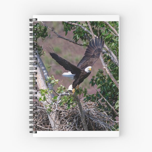 Item preview, Changing Shifts designed and sold by DawsonImages.