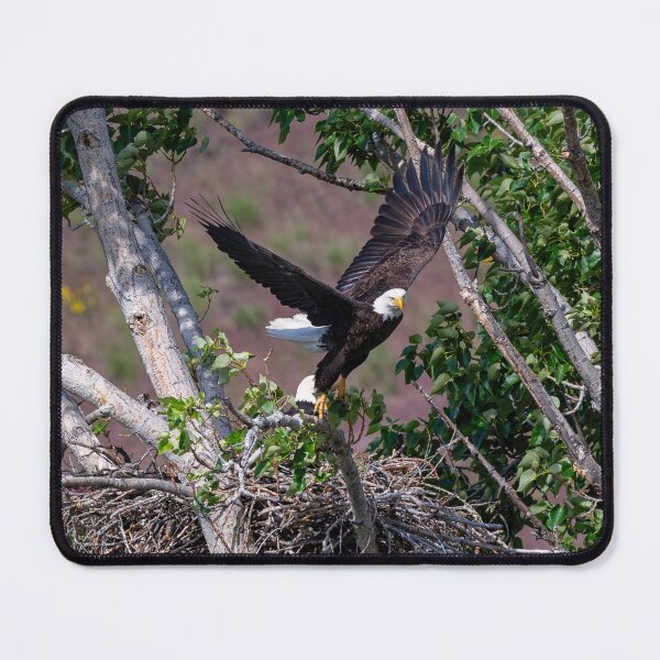 Item preview, Changing Shifts designed and sold by DawsonImages.