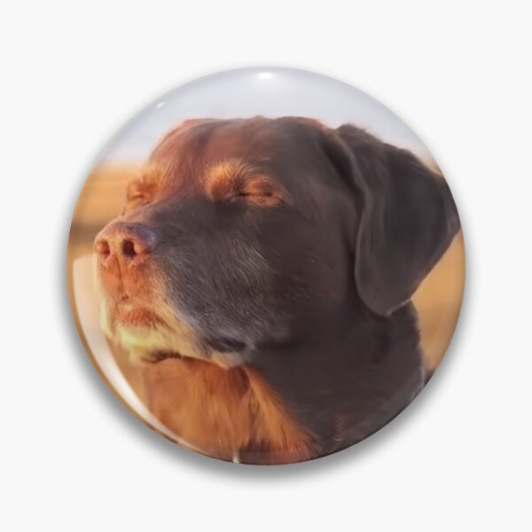 Item preview, Dog meme let me know funny reaction sticker designed and sold by i4rtny.
