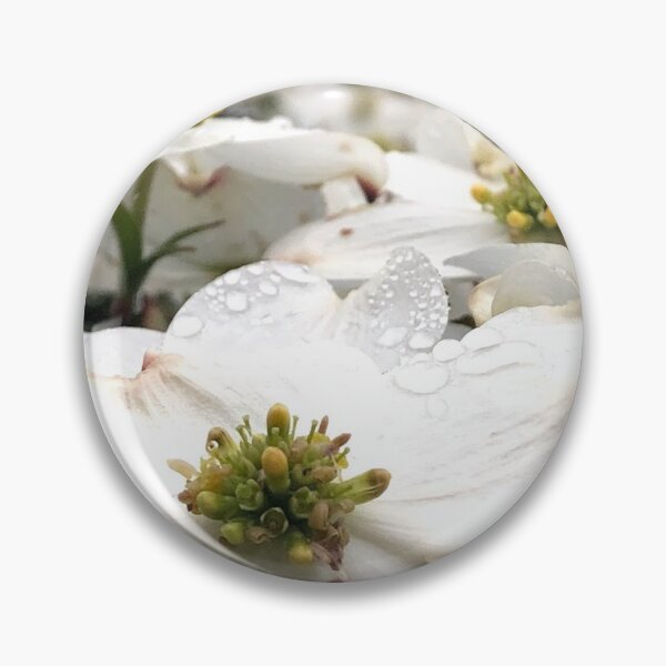 Item preview, White Dogwood flowers, no filter photograph designed and sold by GiSilver.