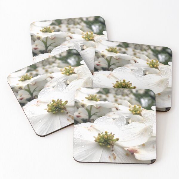 Item preview, White Dogwood flowers, no filter photograph designed and sold by GiSilver.