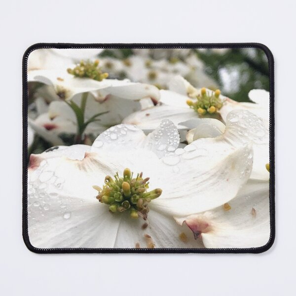 Item preview, White Dogwood flowers, no filter photograph designed and sold by GiSilver.