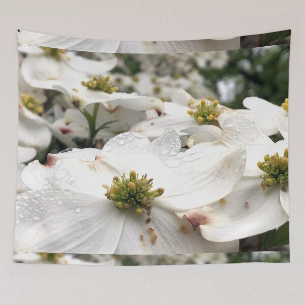 Item preview, White Dogwood flowers, no filter photograph designed and sold by GiSilver.