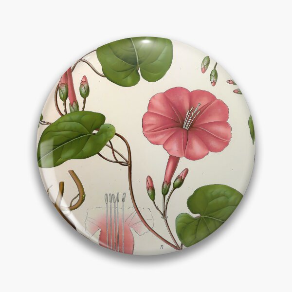 Item preview, Kohlers Medicinal Plants 1887 designed and sold by Gilmour-Prints.