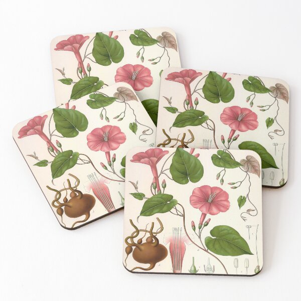 Item preview, Kohlers Medicinal Plants 1887 designed and sold by Gilmour-Prints.