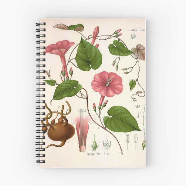 Item preview, Kohlers Medicinal Plants 1887 designed and sold by Gilmour-Prints.