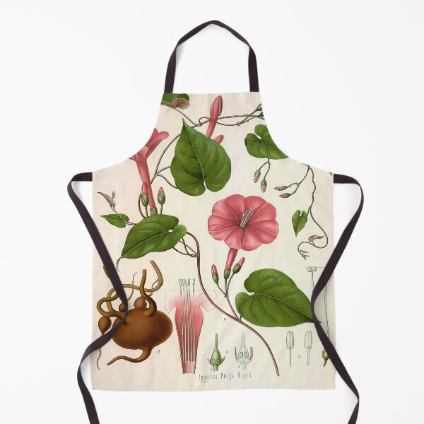 Item preview, Kohlers Medicinal Plants 1887 designed and sold by Gilmour-Prints.