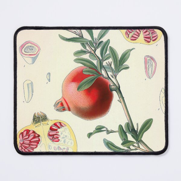 Item preview, Vintage Botanical Print No. 110 1887 designed and sold by Gilmour-Prints.