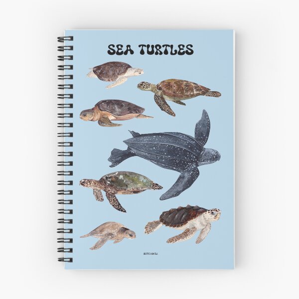Item preview, Copy of Copy of INDO PACIFIC REEF FISHES POSTER-beige 2 designed and sold by BEATRIZ ABAITUA.