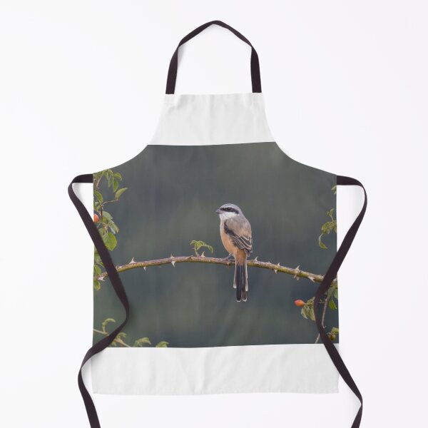 Item preview, Long Tailed Shrike designed and sold by LaurenTucker.