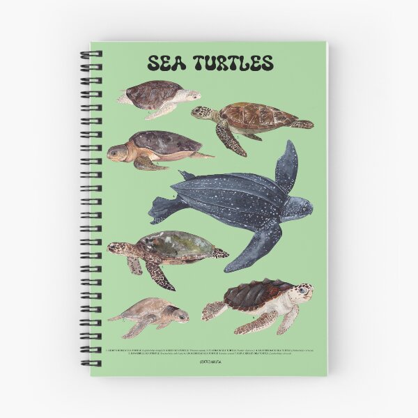 Item preview, Copy of Copy of INDO PACIFIC REEF FISHES POSTER-beige 2 designed and sold by BEATRIZ ABAITUA.