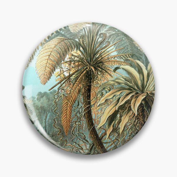 Item preview, Plate 93 Filicinae 1899 designed and sold by Gilmour-Prints.
